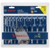 10-Pce Bosch Daredevil 6-Inch Wood Paddle Flat Drill Spade-Bit Threaded-Tip Set